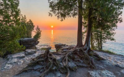 March 2025 Newsletter